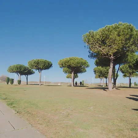Appartamento Avec Clim Et Parking - 6 Pers. à Deux Pas De La - Fr-1-874-17 Le Grau-du-Roi